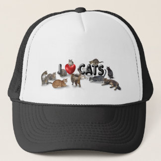 lovecats8.31x3bev trucker hat