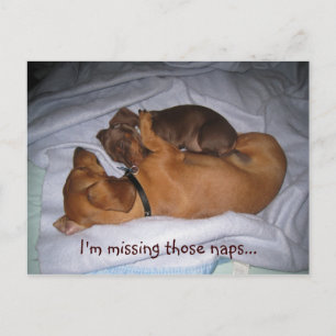 loveis, I'm missing those naps... Postcard