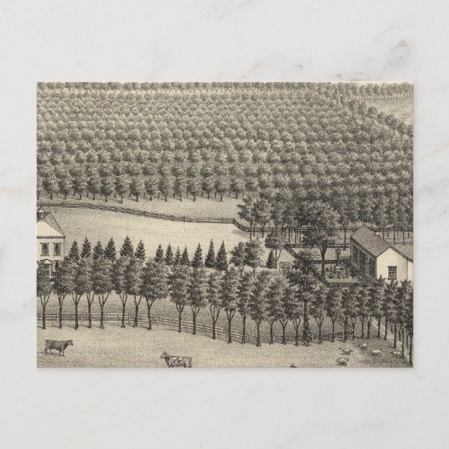 Loveless Farm, Nebraska Postcard (Front)
