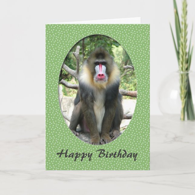 Lovely animal  baboon happy birthday card (Front)