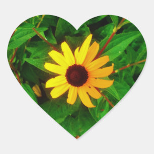 Lovely Black Eyed Susan Sunflower Heart Sticker