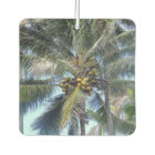 Lovely Bunch of Coconuts