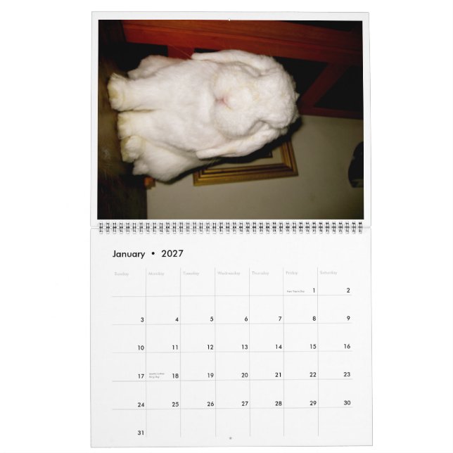 lovely bunnies calendar (Jan 2027)