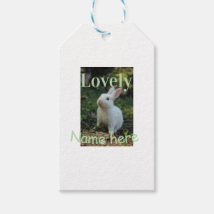 Lovely bunny rabbit pet photo name green pastel gift tags