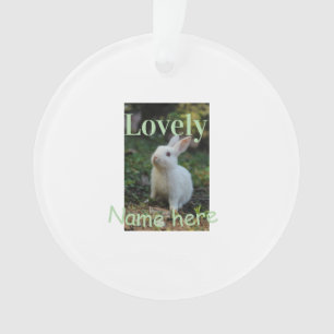 Lovely bunny rabbit pet photo name green pastel ornament