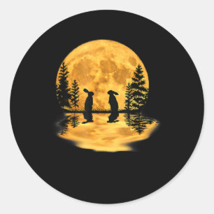 Lovely Bunny Rabbit Rabbits Moon Night Sky Classic Round Sticker