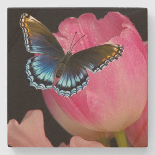 Lovely Butterfly And Flowers Sandstone Coaster