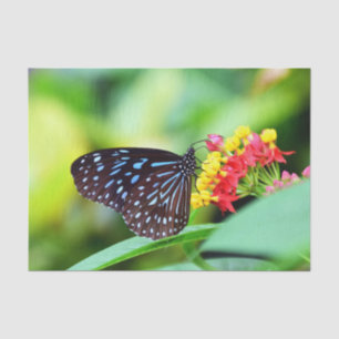 Lovely Butterfly And Flowers Tissue Paper