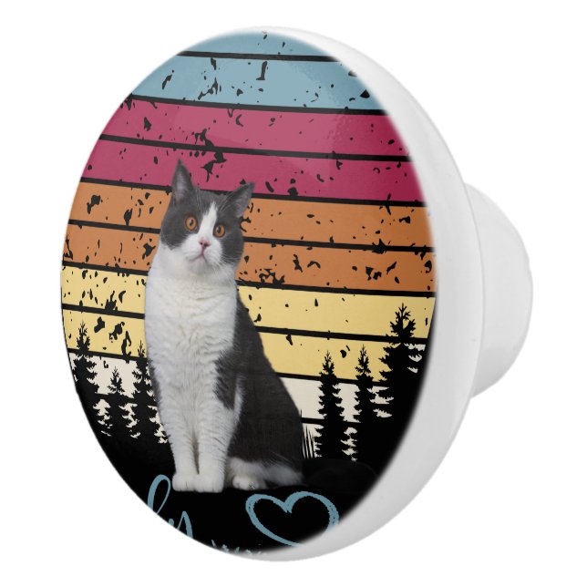 Lovely Cat Ceramic Knob (Right)