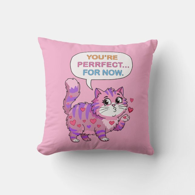 Lovely cat cushion (Front)