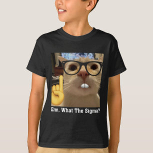 Lovely Cat Meme Clic Art Cute Kitten Erm  T-Shirt