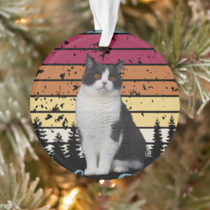 Lovely Cat Ornament