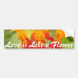 Lovely Colourful Floral with Milkweed Art Print Bumper Sticker