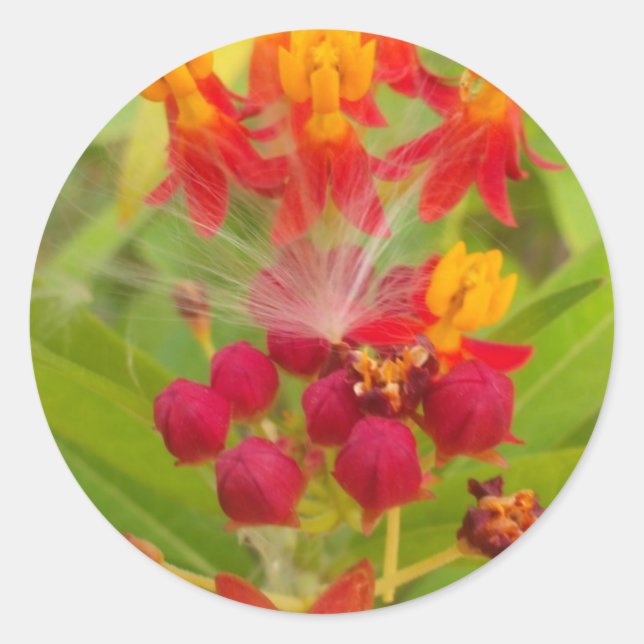 Lovely Colourful Floral with Milkweed Art Print Classic Round Sticker (Front)