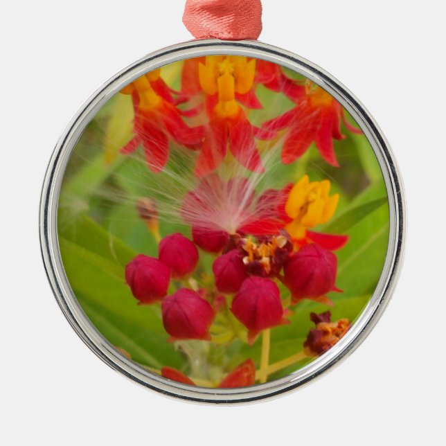 Lovely Colourful Floral with Milkweed Art Print Metal Tree Decoration (Front)