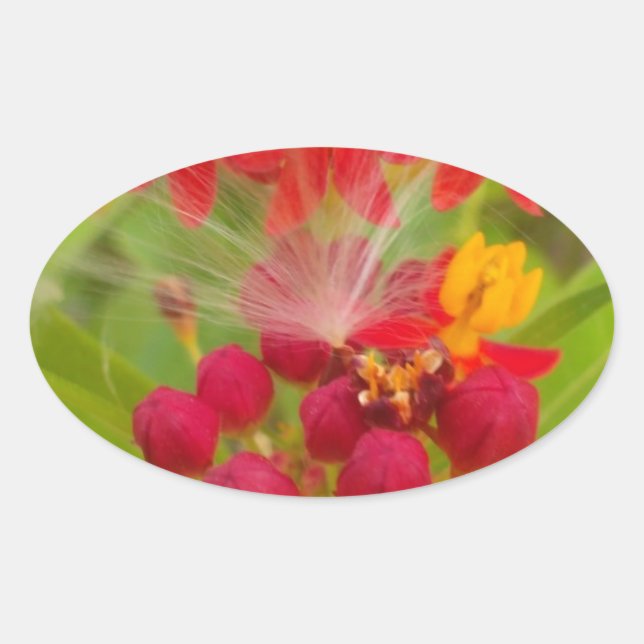 Lovely Colourful Floral with Milkweed Art Print Oval Sticker (Front)