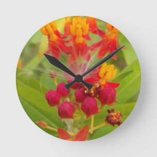 Lovely Colourful Floral with Milkweed Art Print Round Clock