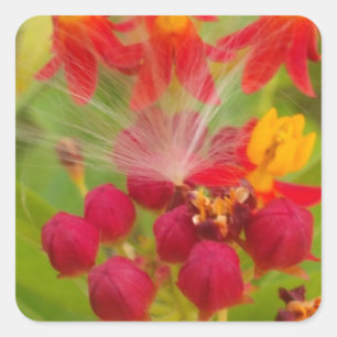 Lovely Colourful Floral with Milkweed Art Print Square Sticker