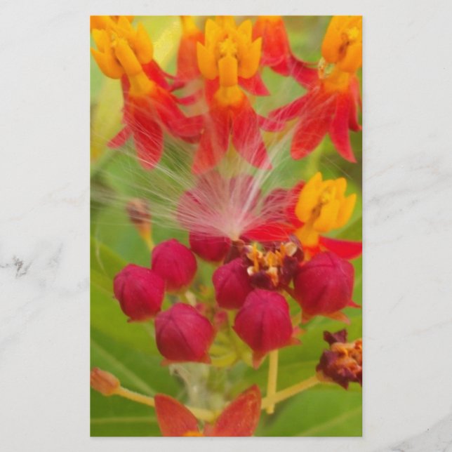Lovely Colourful Floral with Milkweed Art Print Stationery (Front)
