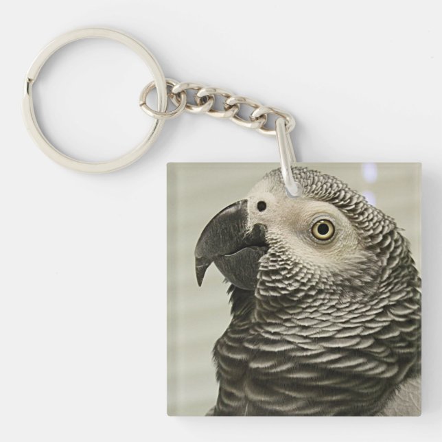 Lovely Congo African Grey Parrot Key Ring (Front)