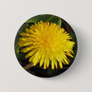 Lovely Dandelion 6 Cm Round Badge