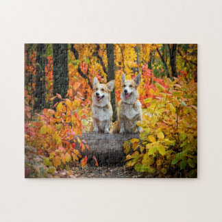 lovely dogs jigsaw puzzle