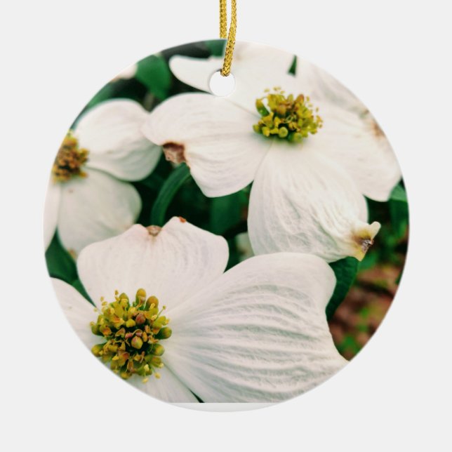 Lovely Dogwood Ceramic Tree Decoration (Front)