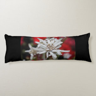 Lovely Edelweiss Leontopodium nivale Body Cushion