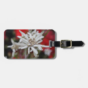 Lovely Edelweiss Leontopodium nivale Luggage Tag