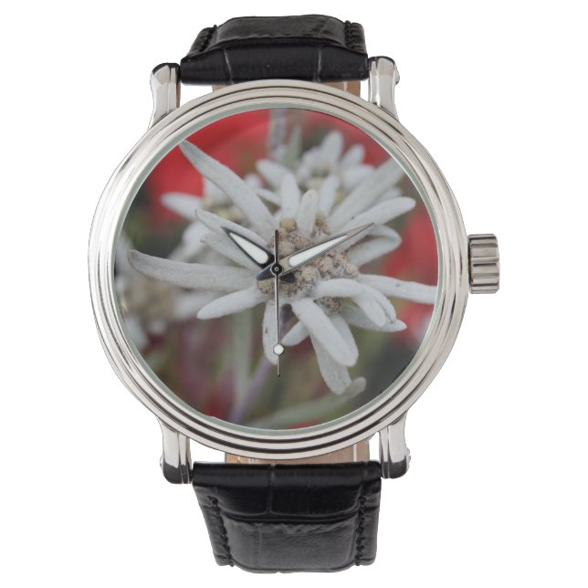 Lovely Edelweiss Leontopodium nivale Watch (Front)