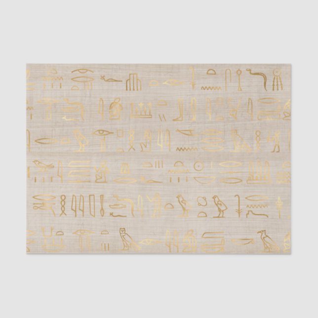 Lovely Egyptian Hieroglyphs Tissue Paper (Front)
