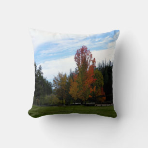 Lovely Fall Day... Cushion