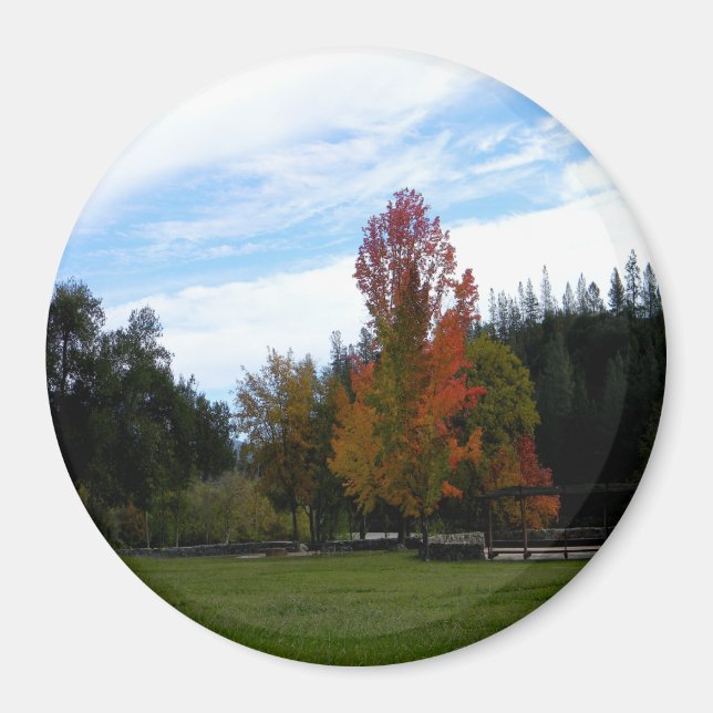 Lovely Fall Day... Magnet (Front)