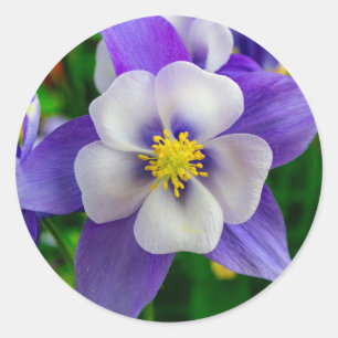 Lovely Flower Round Sticker