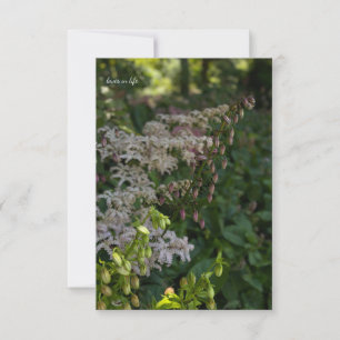 Lovely Garden Card