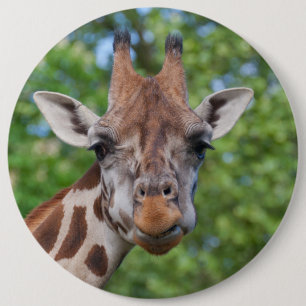 Lovely Giraffe Portrait 6 Cm Round Badge