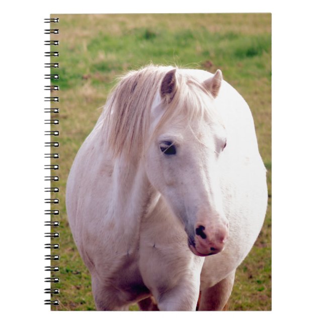Lovely Grey Pony Notebook (Front)