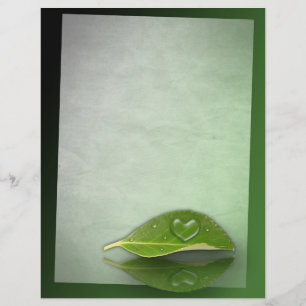 Lovely Heart-Shaped Water Droplet on Leaf