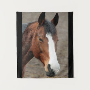Lovely Horse Face Tapestry