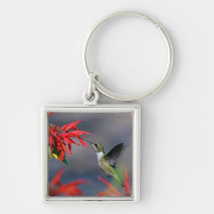 Lovely Hummingbird Key Ring