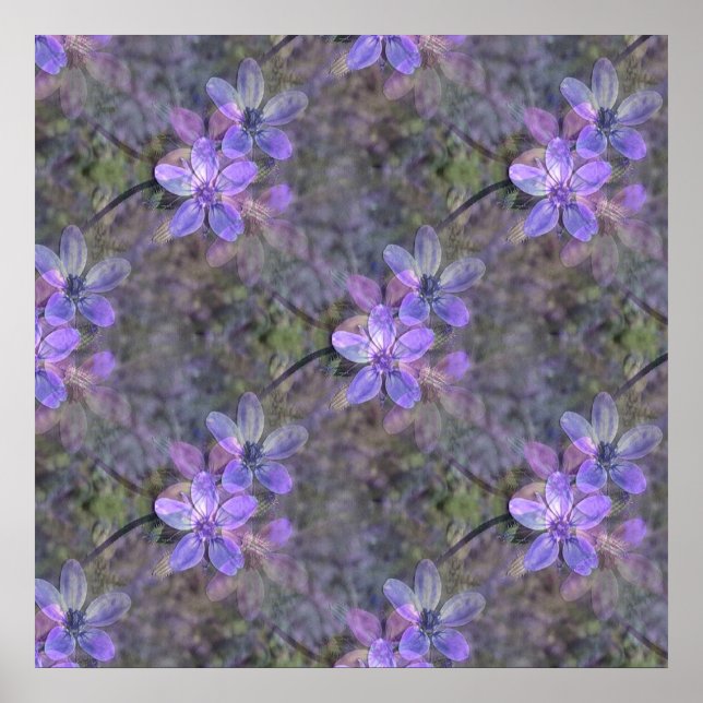 Lovely  in   Spring.. Poster (Front)