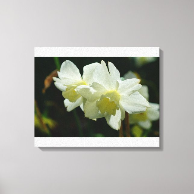 Lovely in White Canvas Print (Front)