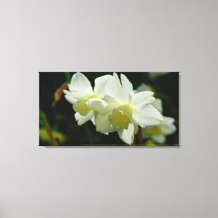 Lovely in White Canvas Print