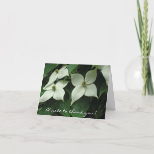 Lovely Korean Dogwood Thanks Thank You Card