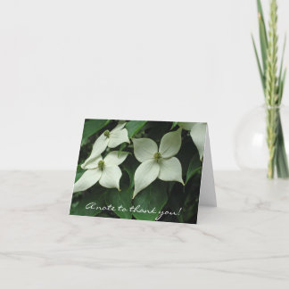 Lovely Korean Dogwood Thanks Thank You Card