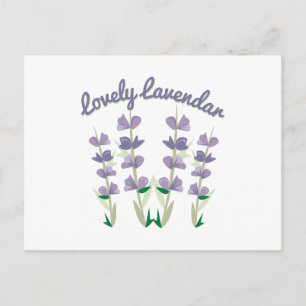 Lovely Lavendar Postcard