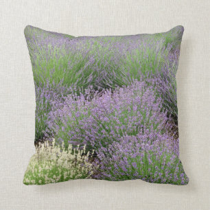 Lovely Lavender Cushion