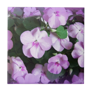 Lovely Lavender Impatiens Tile