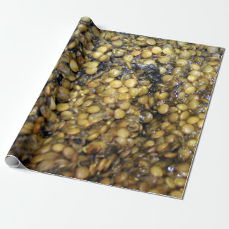 Lovely Lentils!  Wrapping Paper! Paper