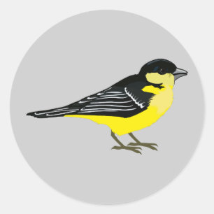 Lovely Lesser Goldfinch Classic Round Sticker